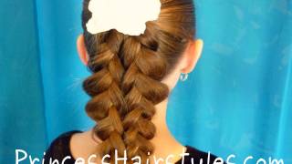 Illusion Braid Ponytail  Unique Braiding Hairstyles [upl. by Mcdermott235]