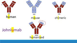 USMLE Step 1 How to memorize monoclonal antibodies [upl. by Breech]