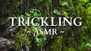 10 HOURS of Gentle Trickling Water  ASMR Paradise [upl. by Bopp]