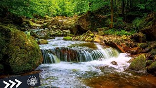 Entspannungsmusik mit Wassergeräusch Naturgeräusch für Tiefenentspannung Stressabbau 4K Fluss [upl. by Kumagai]