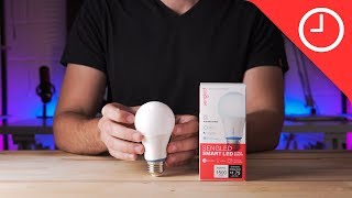 Sengled Smart LED Lights Review Adding some affordable color to my studio [upl. by Lunneta96]