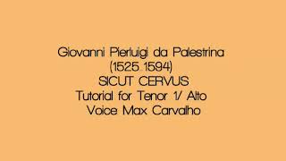 Tutorial Tenor 1Alto SICUT CERVUS G P Palestrina [upl. by Puklich]