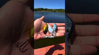 CRANKBAITS⁉️ fishinglife bassfishing fishing fishingshorts sportfishing fishingvideo bass [upl. by Ecirbaf]