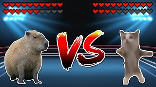 Capybara vs Shnappi cat Meme battle [upl. by Phineas]