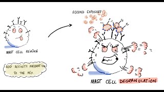 Vaccines Allergies and Polyethylene Glycol PEG [upl. by Mosra35]