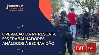 Operação da Polícia Federal resgata 593 trabalhadores análogos à escravidão [upl. by Beyer58]