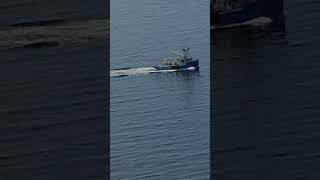 Newfoundland Lobster fishing July 31 2024 [upl. by Arlette405]