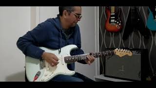 Fender Stratocaster jazz tone [upl. by Sharla796]