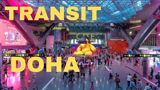 How to Transit in Doha Airport  How to Transfer flight in Hamad AirPort Doha Qatar 🇶🇦 [upl. by Htebasile]