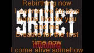 Skillet  Rebirthing Lyrics [upl. by Hafirahs933]