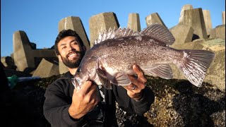 I Drove 15 Hours and Spent 2500 for This Fish [upl. by Mccomb]