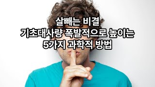 살빼는 비결 기초대사량 폭발적으로 높이는 5가지 과학적 방법 [upl. by Ahsilat]