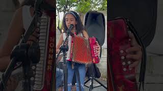 Camille merenguetipico acordeon merengue musica merenguemusica music [upl. by Perot126]