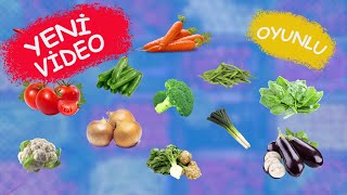 🍅 🥕 SEBZELERİ ÖĞRENİYORUZ  Çocuklar İçin  Okul Öncesi Eğitim [upl. by Lednic]