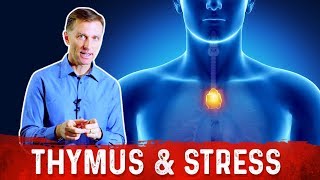 Dr Berg Talks About Thymus Gland Stress and Immune System [upl. by Nyrahtak]