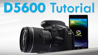 Nikon D5600 Overview Tutorial [upl. by Kirven618]