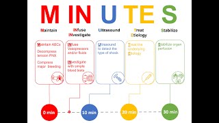 MUNITES bundle the first 30 min in the management of circulatory shock [upl. by Rosario]