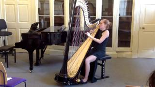 The Moldau Bedrich Smetana harp [upl. by Anaihs2]