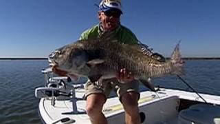 Black Drum Fishing for Trout Redfish with Cajun Fishing Adventures [upl. by Ivatts]