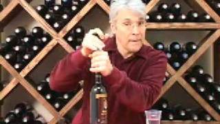 Vacu Vin Wine Preservation HowTo [upl. by Oswald]