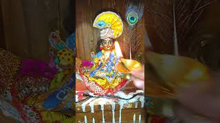 চলো মন বিন্দাবন shorts laddugopal gopalseba viral trending krishna [upl. by Yrruc]