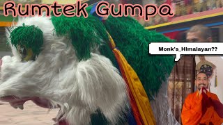 📿A Holy Wong at Rumtek MonasteryRumtek Old Monastery Official monkstory MonksofHimalayan💐 [upl. by Sined]