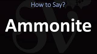 How to Pronounce Ammonite CORRECTLY [upl. by Manaker]