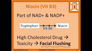 Water Soluble Vitamin Deficiency Scurvy Pellagra WernickeKorsakoff Syndrome Beriberi [upl. by Ilise]