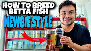 Betta Fish Breeding Guide For Newbie amp Beginners  Betta Breeding [upl. by Babcock717]