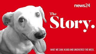 PODCAST  The Story Is dognapping on the rise [upl. by Airbma]