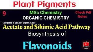 Acetate and Sikimic Acid Pathway  Flavonoids Synthesis mscchemistrynotes itschemistrytime [upl. by Orgalim]