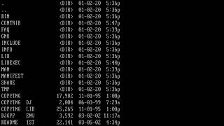 FreeDOS programming  Compiling with GCC [upl. by Eelanaj26]