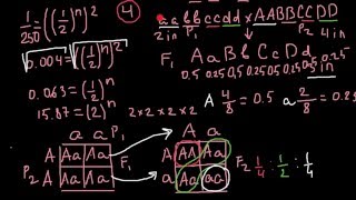 How to find how many alleles control a trait [upl. by Rovert953]