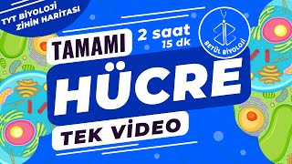 Hücre Tekrar  TAMAMI TEK VİDEO  TYT Biyoloji Konu Anlatımı [upl. by Kreiker]