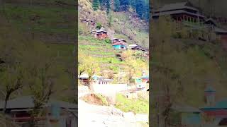 Wadi e kashmir 💕❤️nature youtubeshorts [upl. by Ennoval]