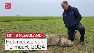 Dit is Flevoland van dinsdag 12 maart 2024  Omroep Flevoland [upl. by Surtemed301]