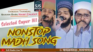 Thwaha Thangal Shahin Babu Nasif Calicut Super NonStop Songs  Latest Selected Madh Songs  Burdha [upl. by Efrem]