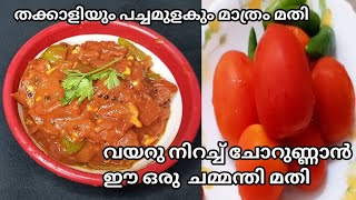 5 മിനിറ്റിൽ തയ്യാറാക്കാം തക്കാളി ചമ്മന്തി  Thakkali Chammanthi  Tomato Chutney  Thakkali Chutney [upl. by Mw]