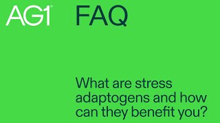 What are stress adaptogens and how can they benefit you [upl. by Iz242]