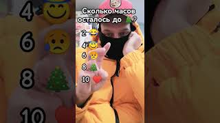 Сколько часов осталось до Нового Года ⁉️ shorts tiktok 2023 2024 [upl. by Nyladnar444]