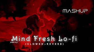 New Night Lofi song 2024  New Love Lofi Mashup Song 2024  Mind Relaxing Songs  soulfullofi [upl. by Nwahsad]