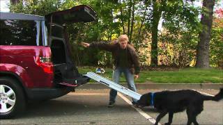 DRIVE Dog Friendly Honda Element [upl. by Nohj]