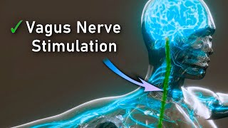 Strengthen Nervous System Vagus Nerve Activating Frequency • 30Hz Binaural Beats [upl. by Eedebez]