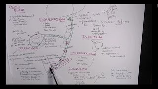 MEJOR EXPLICACIÓN COLELITIASIS COLECISTITIS COLEDOCOLITIASIS COLANGITIS [upl. by Doolittle596]