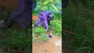 Removing grass debris from the drain drainage shorts viral shortvideo viralvideo video [upl. by Neerroc]