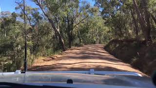 THE DRIVE INTO SHEEPYARD FLAT  CAMPING IN A BIRD SANCTUARY [upl. by Delmore642]