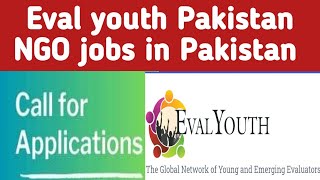 Evalyouth Pakistan NGO jobs in Pakistan  Task force leads provincial coordinator jobs 2024 [upl. by Eloc]