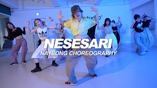 Kizz Daniel  Nesesari  Nayeong Choreography [upl. by Katlin]