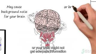 Brain body and spine [upl. by Blane]