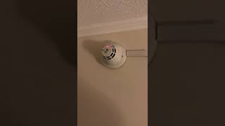 Est siga ps smoke detector test [upl. by Arihsak935]